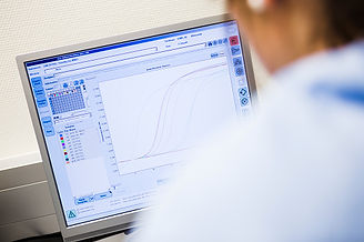 Computer graph on monitor screen