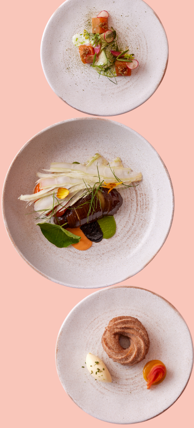 Apricity Tasting Menu dishes - cured trout, braised aubergine and the Chouxnut