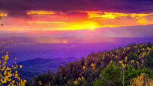 Scenic Vistas