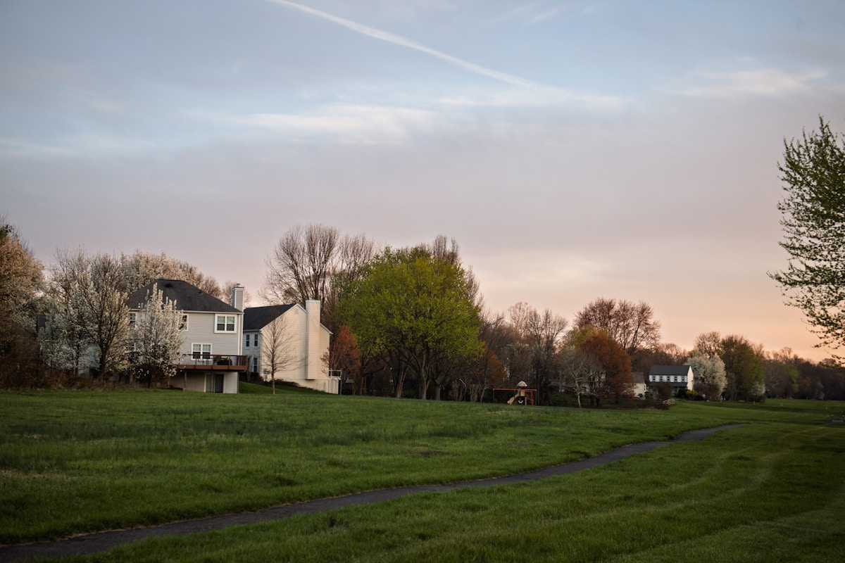Tree-lined Lakewood, CO neighborhood street representing school boundary considerations for home buyers