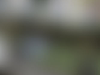 Piquenique na Villa Hilda reúne famílias e valoriza memória cultural em tarde de lazer