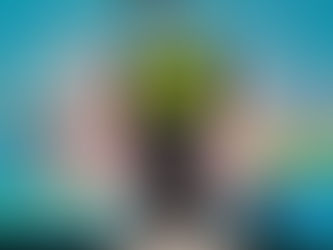 Feira de Vinil reúne colecionadores e expositores em Ponta Grossa no início de maio