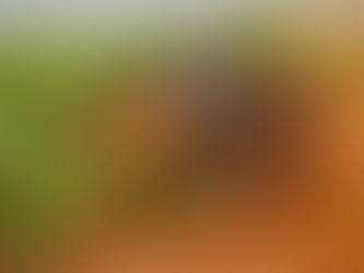 Competidores cruzam o Norte do estado e encaram a etapa mais longa do Transparaná