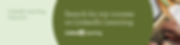 LIL Green.jpeg