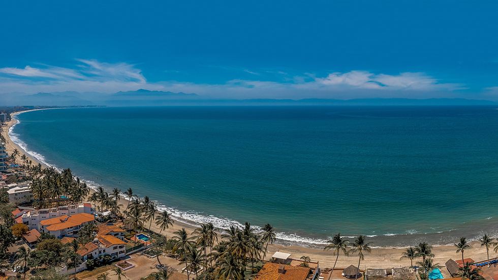 The Ultimate Sportfishing Experience in Puerto Vallarta: Why Fishing Rebels Should Be Your First Choice