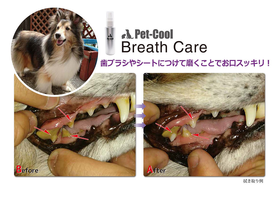 サムネイル： Pet-Cool Breath Care