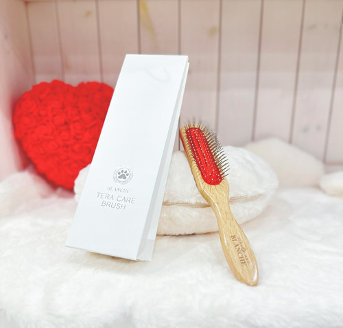 テラケアブラシ Amazon.co.jp: BLANCHE テラケアブラシ 【セルフ ヘッドスパ 梳