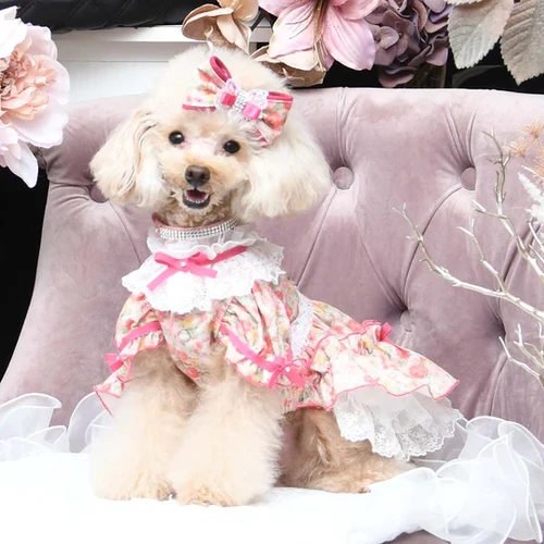 Luxe birdie アドレーブルワンピース ピンク | pet de repos