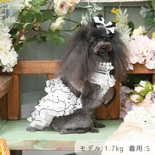 Luxe birdie プリッセドレス | pet de repos