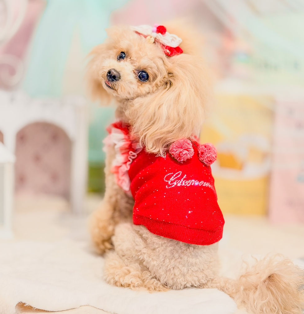 サムネイル： Glamourism×pet de repos Dolly別注色