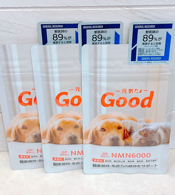 ♡ramram♡ さま専用Good NMN6000 犬猫用サプリメント NMNわんにゃんサプリGood(NMN6000) | pet de repos