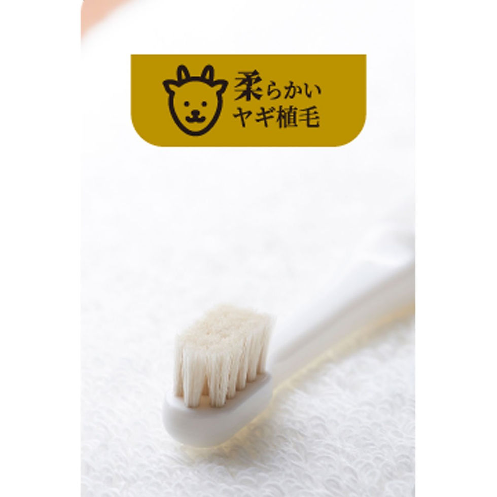 Thumbnail: 柔らかい天然ヤギ毛歯ブラシ ミガケンデ 小型犬用