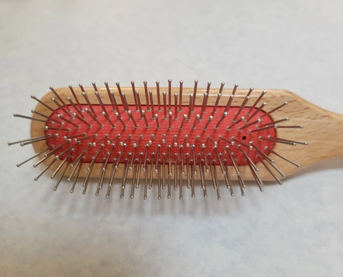 テラケアブラシ♡ | pet de repos