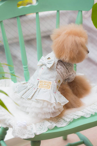 BUL BU-BU ヒッコリーJSK | pet de repos