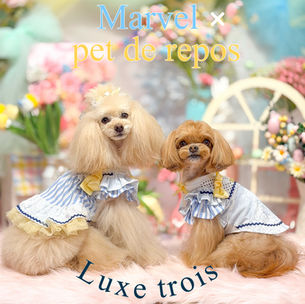Marvel × pet de repos〝Luxe trois〟