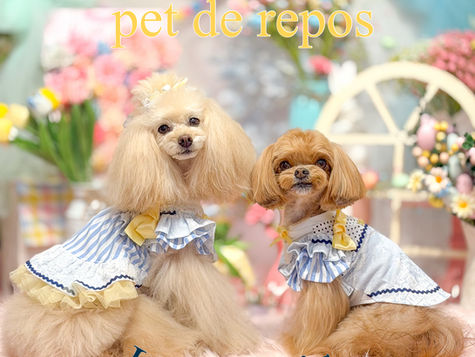 Marvel × pet de repos〝Luxe trois〟