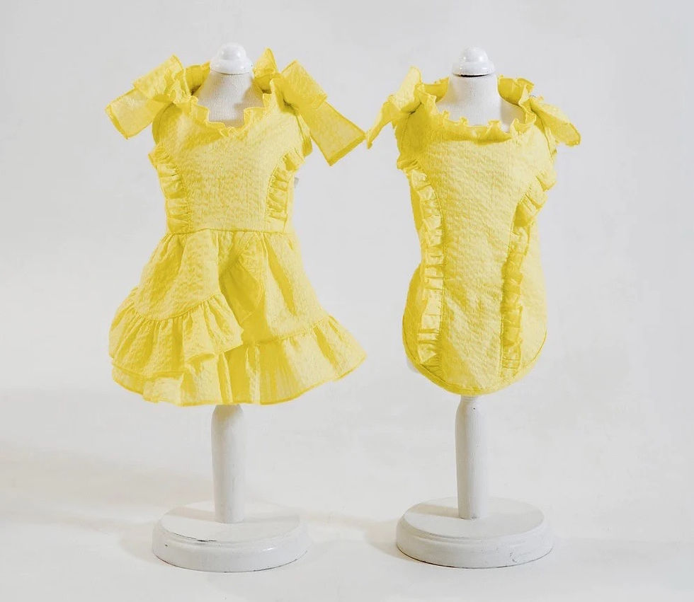 サムネイル： Candy Buppie Limoneトップス