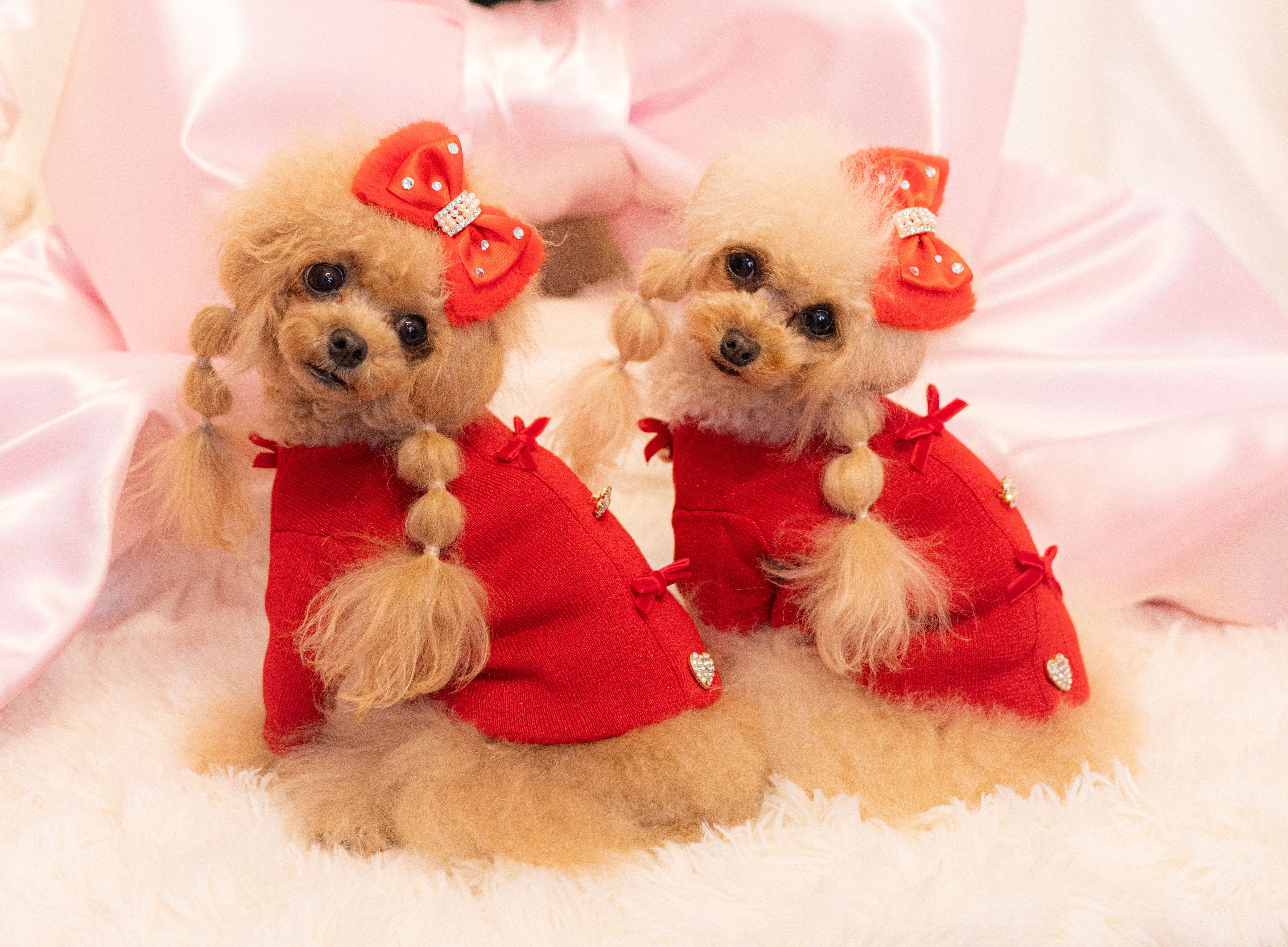Glamourism×pet de repos Christmas Collection🎄˖ ࣪⊹　セーター