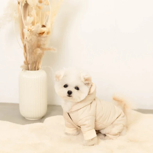 特別セーフ file.webp 犬服・アクセサリー