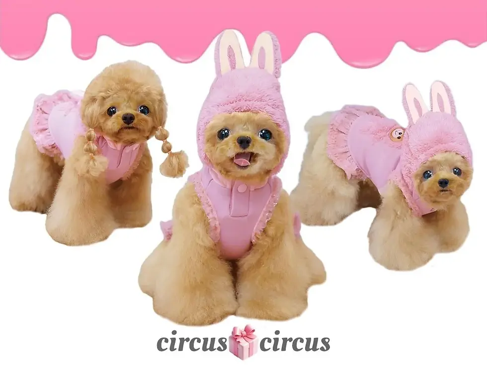サムネイル： circus circus サーカスサーカス Love Bear Mascot Hoodie OP