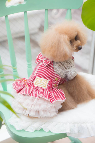 BUL BU-BU ヒッコリーJSK | pet de repos