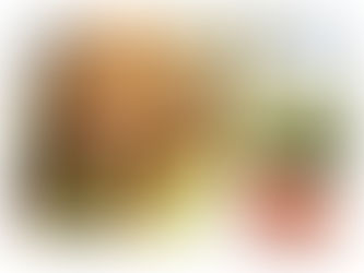 🏝💛7月16日(土)17日(日)18日(月)💛🏝新ブランド 『wanfoo』試食会のお知らせ🥳🍽