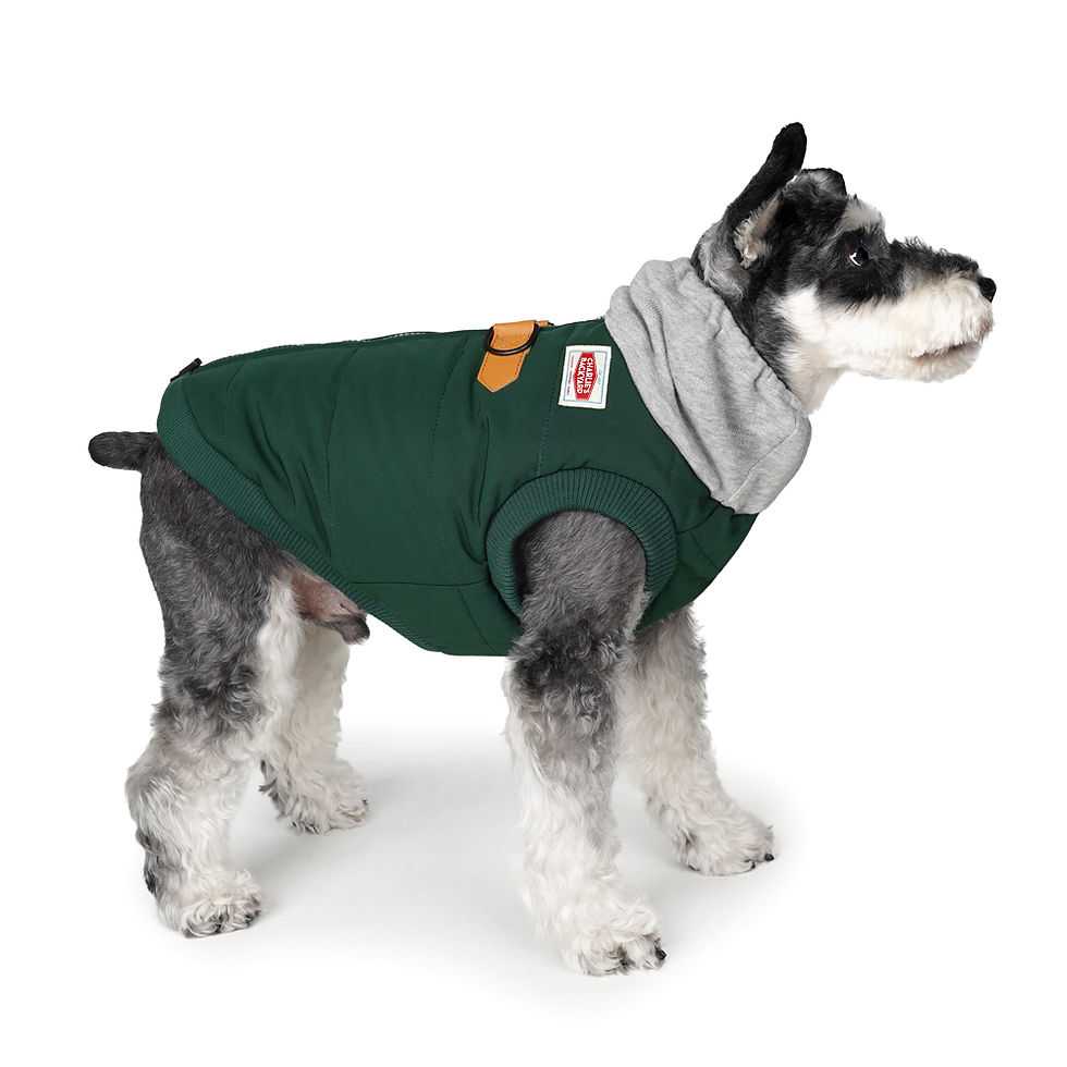 サムネイル： CHARLIE’S BACKYARD（チャーリーズバックヤード） WARM-UP HARNESS JACKET ディープグリーン