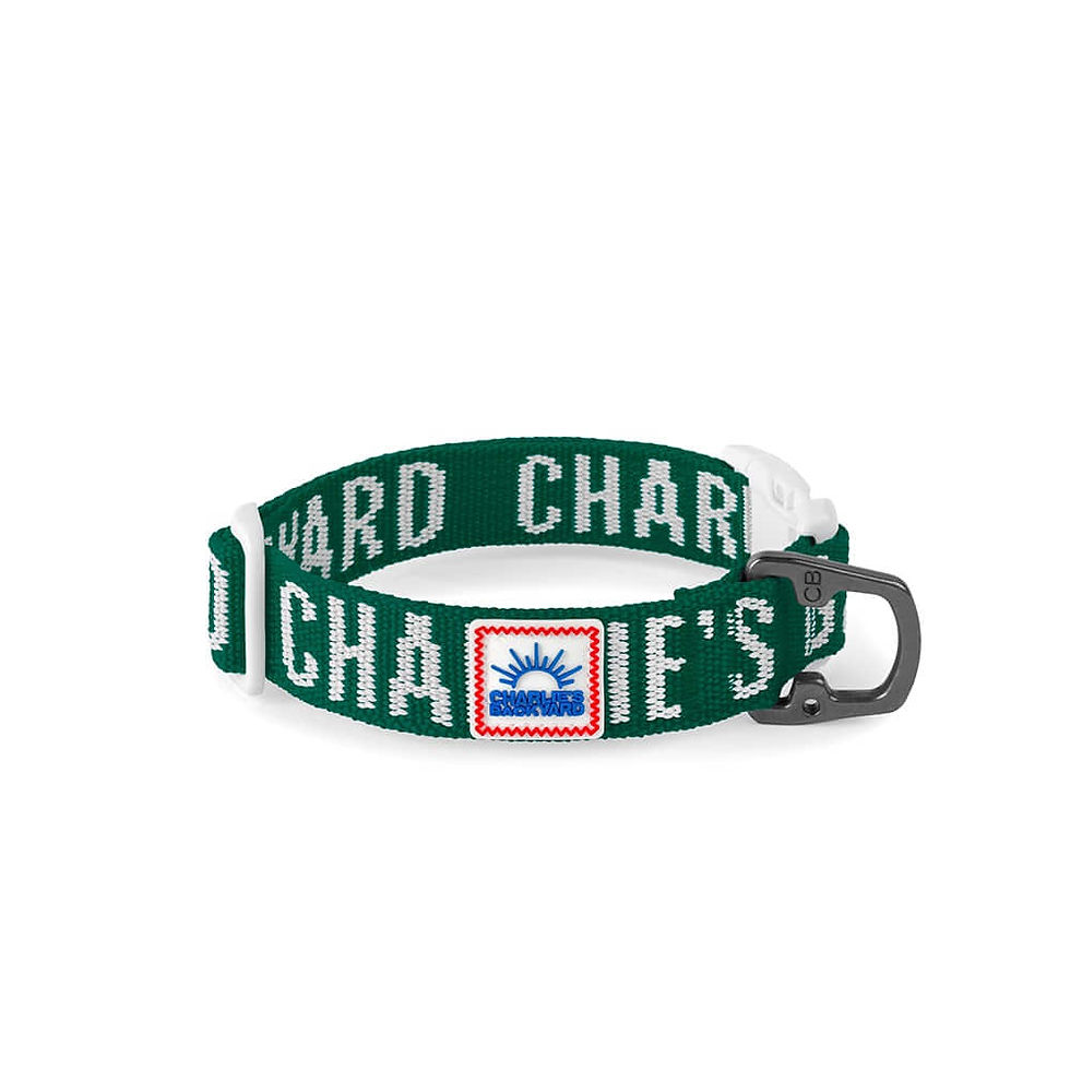 チャーリーズバックヤード トリップカラー CHARLIE’S BACKYARD TRIP COLLAR グリーン