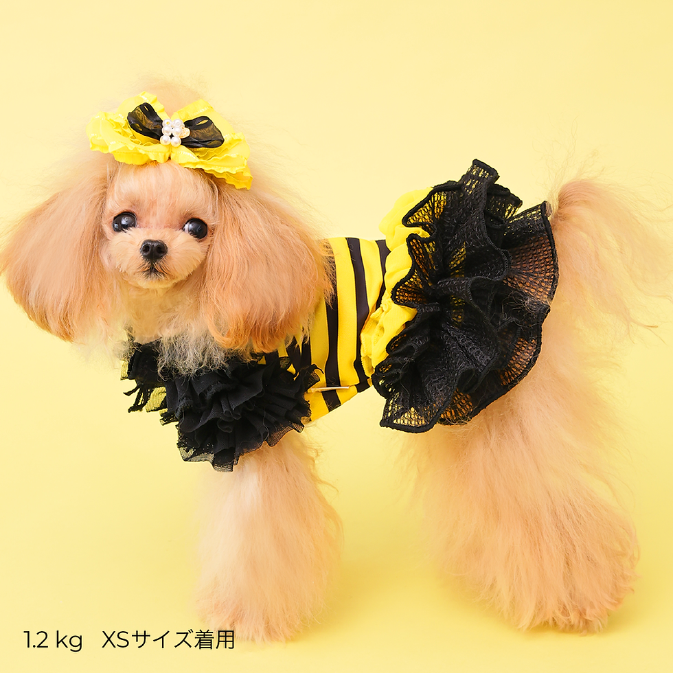 サムネイル： GOD PIVA COOL FUNNY BEEワンピース