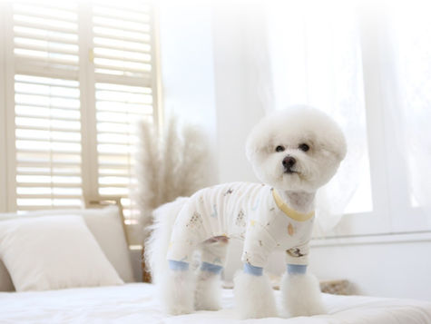 韓国ライフスタイルブランド【ITS DOG】取り扱いしております😘