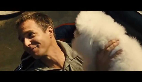 sam rockwell.jpg