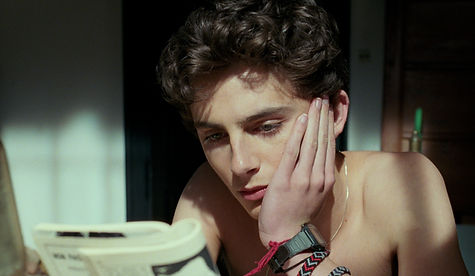 timothee chalamet.jpg