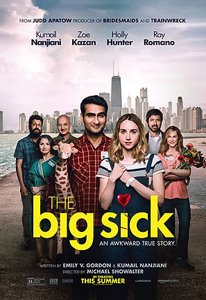 the big sick.jpg