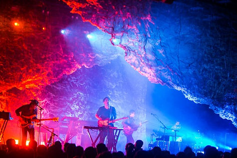 Grizzly Bear.jpg