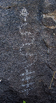 Petroglyph-20190618-5-Fairway-0004.jpg