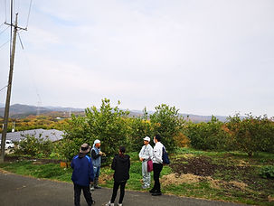 20191127_lemon_onoue (9).jpg