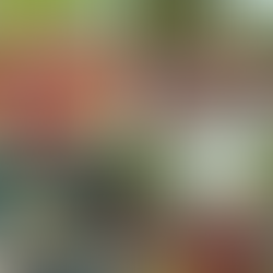 Attendees participate in the 16th Khumi National Day celebration in Arakan on April 27