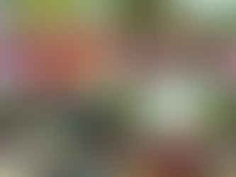 Attendees participate in the 16th Khumi National Day celebration in Arakan on April 27