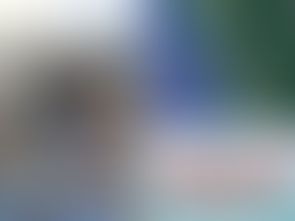 Bangladeshi nationals detained with narcotics and the location where they were apprehended.