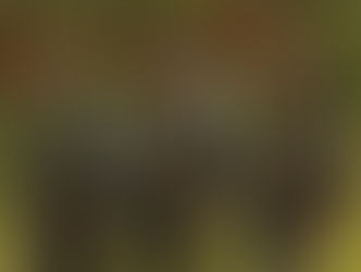 MNDAA and TNLA Pledging as Brotherhood Alliance to Strive Together Until Revolutionary Goals are Achieved