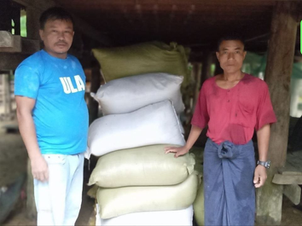 ULA/AA Provides Free Paddy Seeds for Flood-Damaged Farmlands in Anjanapura Township