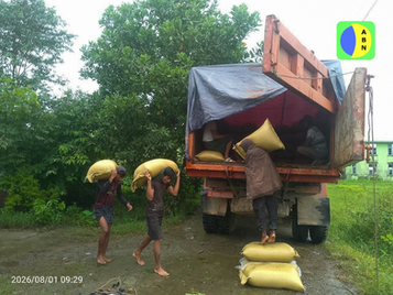 ULA/AA Distributes 2,000 Baskets of Seed Rice Free of Charge for Flood-Damaged Farmlands in Kyauktaw Township