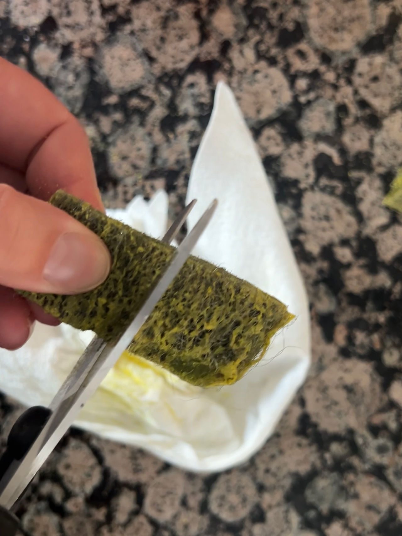 Cutting a Brillo pad with scissors