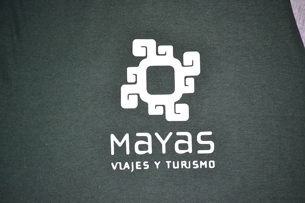 Logo en frente