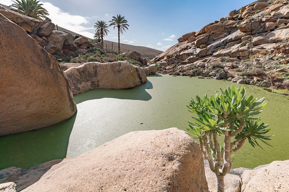Barranco de las Peñitas