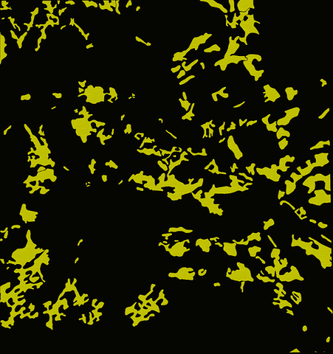 WindDirection.gif