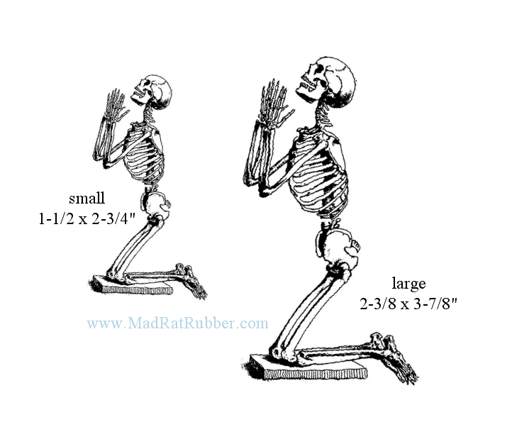 V176/509 Kneeling Skeleton Right Lg/Sm