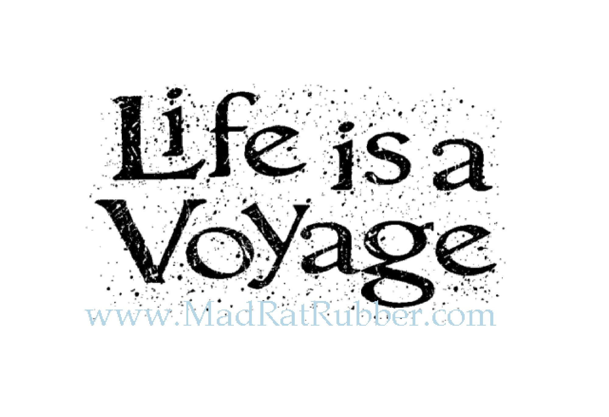 M161 Life is a Voyage