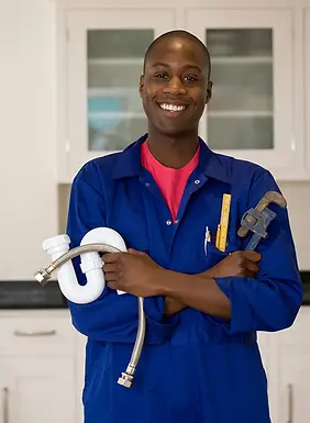 Domestic Plumbing service expert.webp