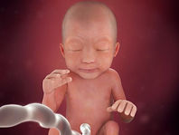 abortion at 24 weeks
